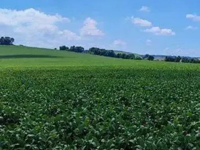 Fazenda venda em Região Imediata de Avaré, Paranapanema