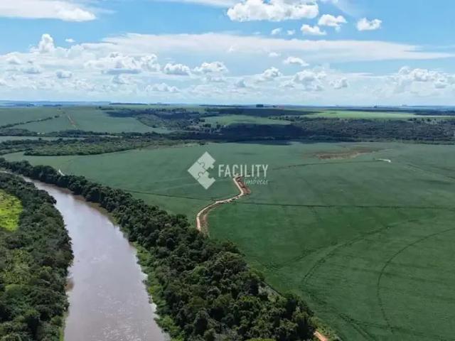 Fazenda venda em Região Imediata de Avaré, Paranapanema