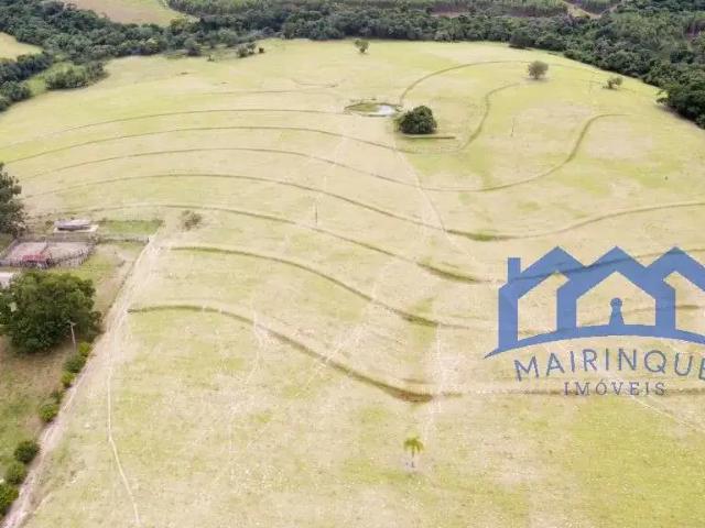 Fazenda venda em Região Imediata de Avaré, Paranapanema