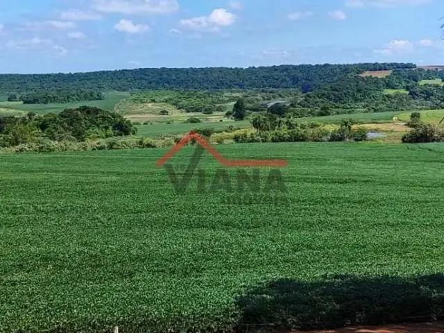 Fazenda venda em Região Imediata de Avaré, Paranapanema