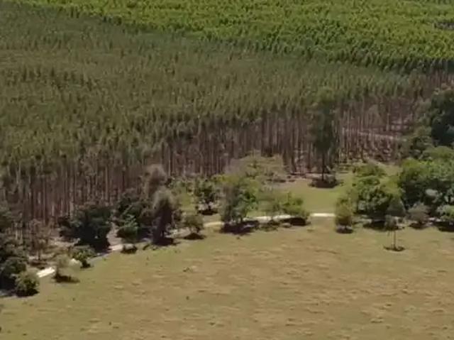 Fazenda venda em Região Imediata de Avaré, Paranapanema