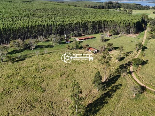 Fazenda venda em Paranapanema, Região Geográfica Intermediária de Sorocaba