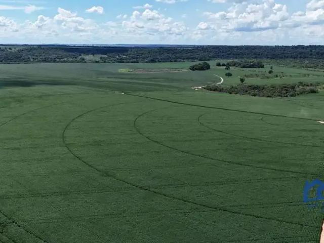 Fazenda venda em Região Imediata de Presidente Prudente, Mirante do Paranapanema