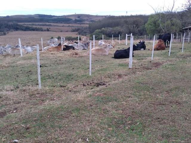Fazenda venda em Região Imediata de Avaré, Paranapanema