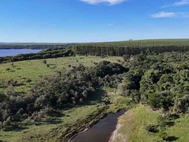Fazenda venda em Região Imediata de Presidente Prudente, Mirante do Paranapanema