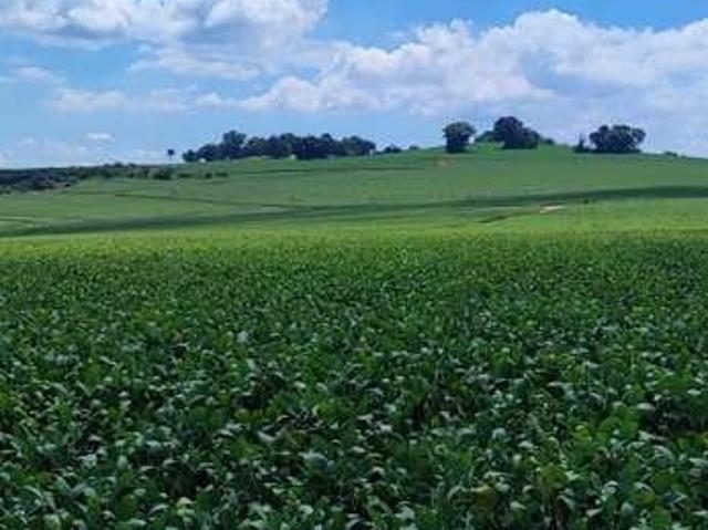 Fazenda venda em Região Imediata de Avaré, Paranapanema