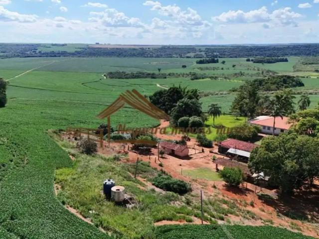 Fazenda venda em Região Imediata de Avaré, Paranapanema