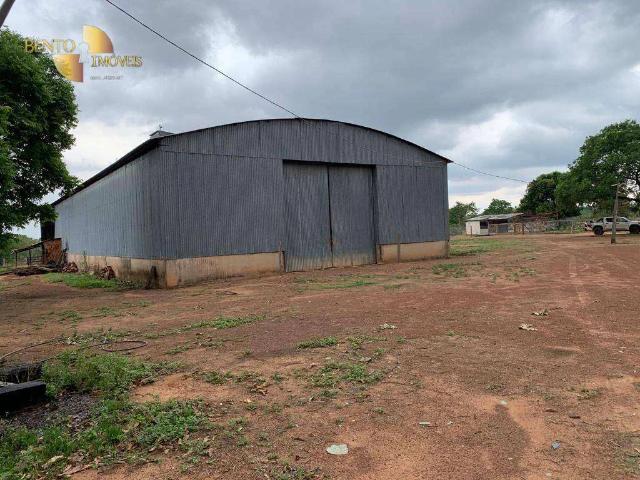 Fazenda venda em Paranatinga, Região Geográfica Intermediária de Rondonópolis