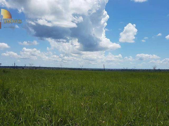 Fazenda venda em Paranatinga, Região Geográfica Intermediária de Rondonópolis