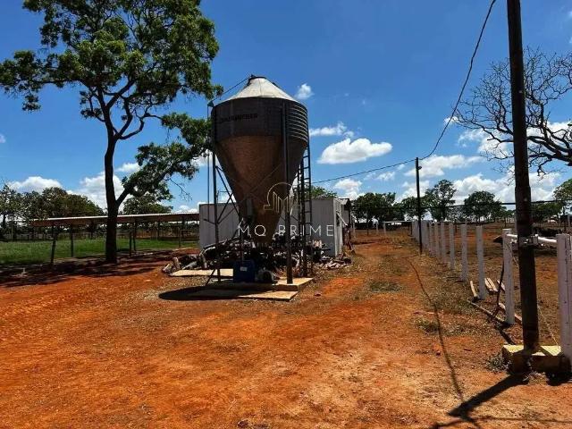 Fazenda venda em Região Geográfica Imediata de Sete Lagoas, Paraopeba