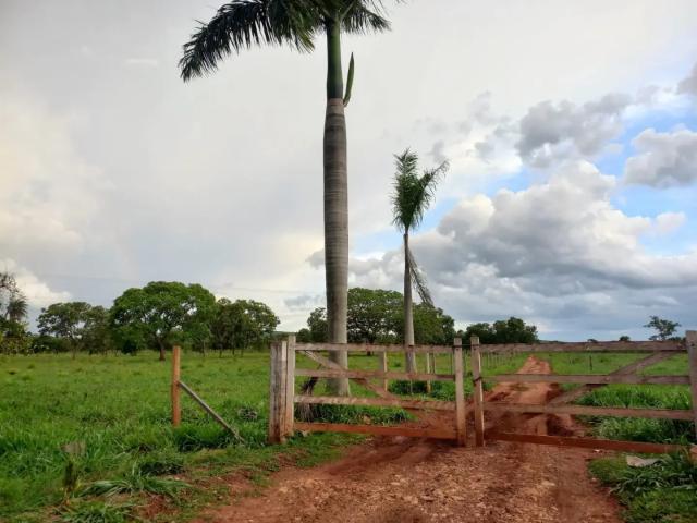 Fazenda venda em Região Geográfica Imediata de Sete Lagoas, Paraopeba