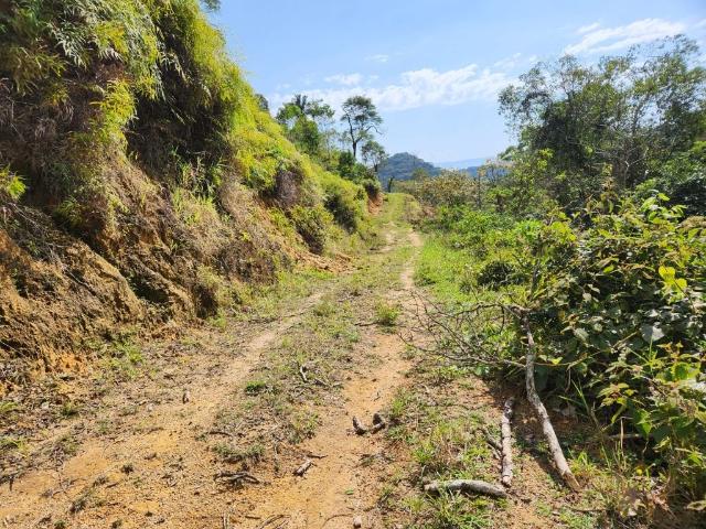 Fazenda venda em Paraty, Quilombo Campinho