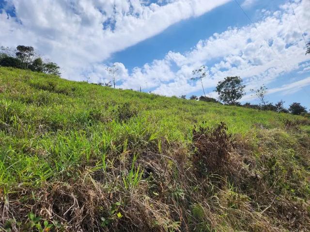 Fazenda venda em Região Geográfica Imediata de Angra dos Reis, Paraty