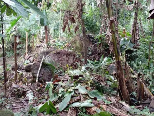 Fazenda venda em Região Geográfica Imediata de Angra dos Reis, Paraty