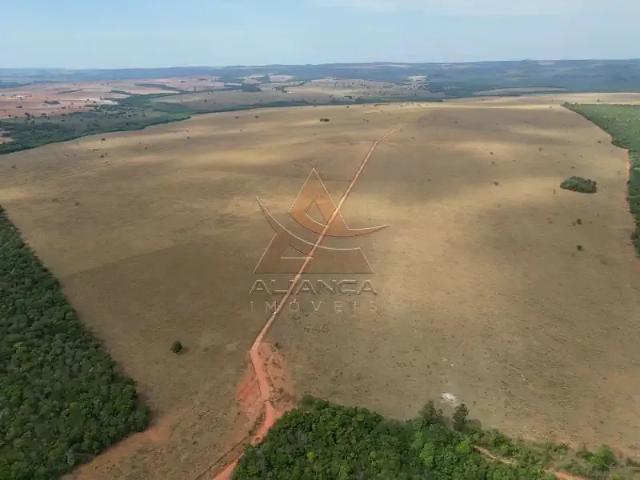Fazenda venda em Região Geográfica Imediata de Palmeiras de Goiás, Paraúna