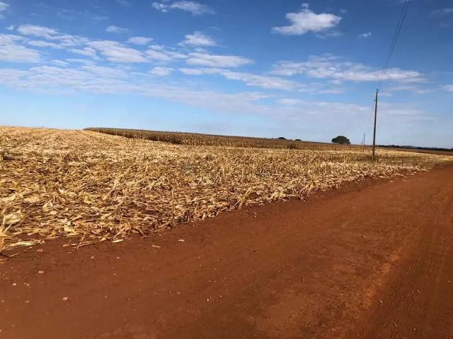 Fazenda venda em Região Geográfica Imediata de Palmeiras de Goiás, Paraúna
