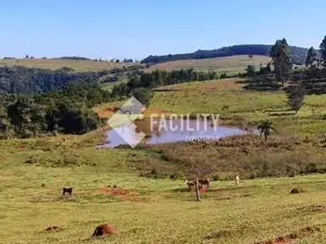 Fazenda venda em Região Imediata de Botucatu, Pardinho