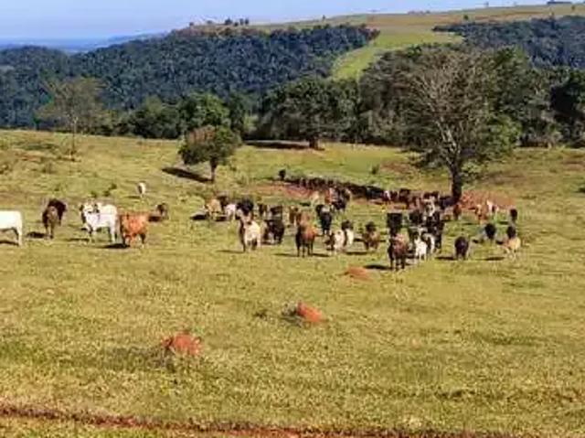 Fazenda venda em Região Imediata de Botucatu, Pardinho