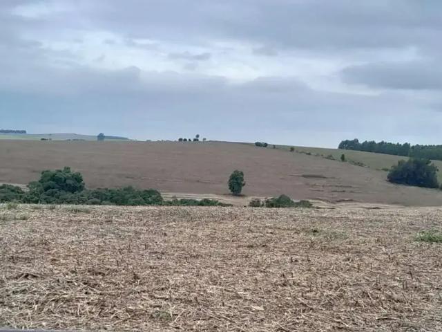Fazenda venda em Pardinho