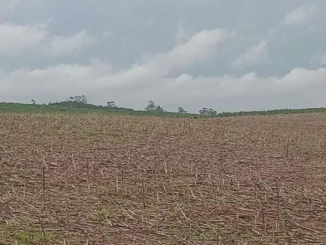 Fazenda venda em Região Imediata de Botucatu, Pardinho