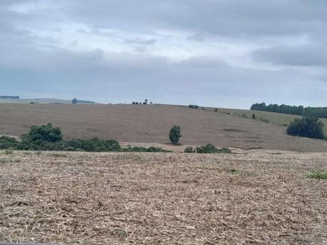 Fazenda venda em Região Imediata de Botucatu, Pardinho
