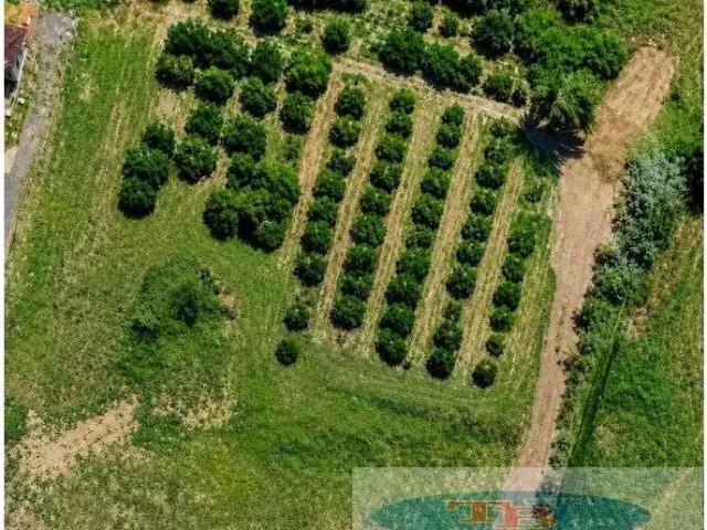 Fazenda venda em Região Geográfica Imediata de Montenegro, Pareci Novo