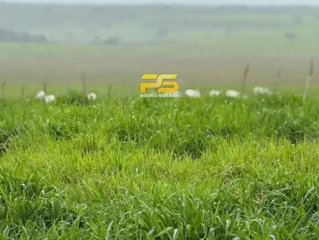 Fazenda venda em Região Geográfica Imediata de Natal, Parnamirim