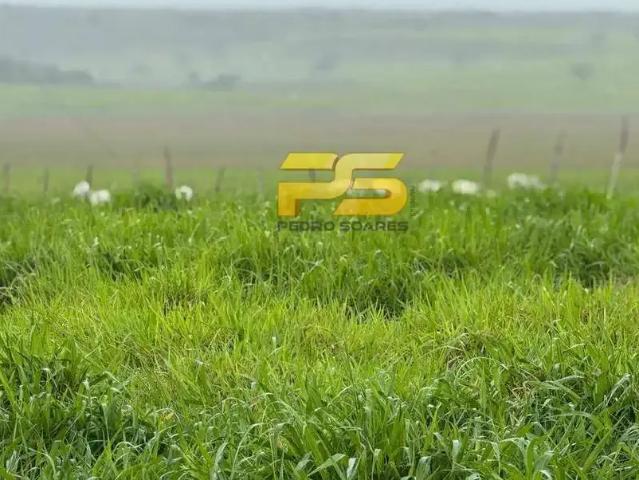 Fazenda venda em Região Geográfica Imediata de Natal, Parnamirim