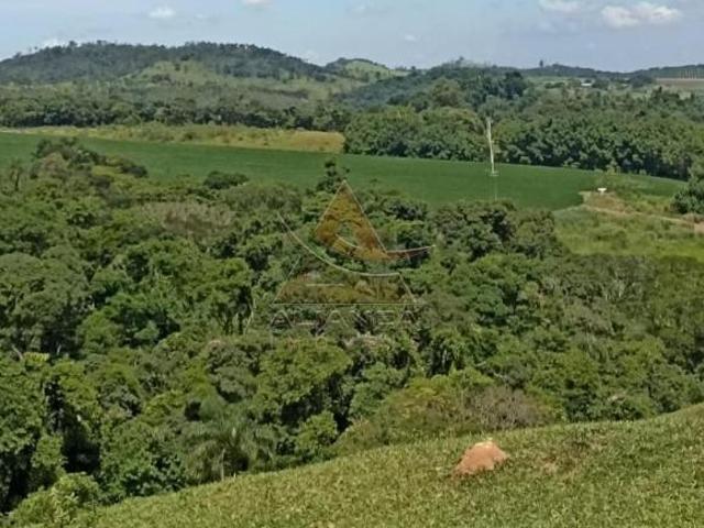 Sítio e chácara venda em Região Imediata de Mogi Guaçu, Itapira