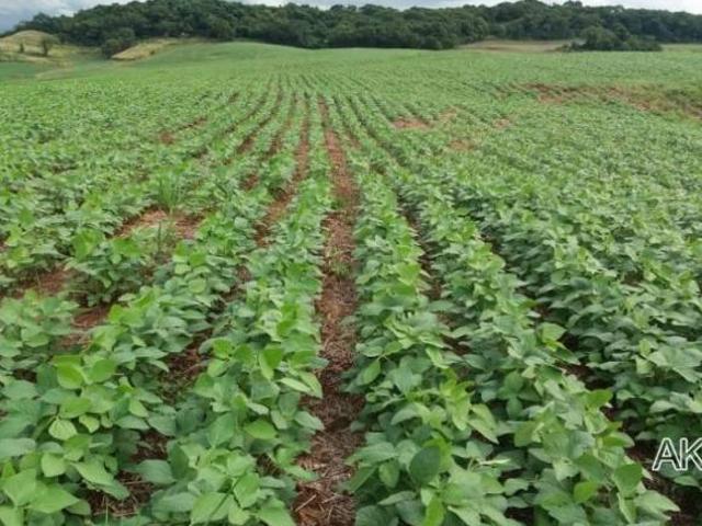 Sítio e chácara venda em Região Geográfica Imediata de Apucarana, Apucarana