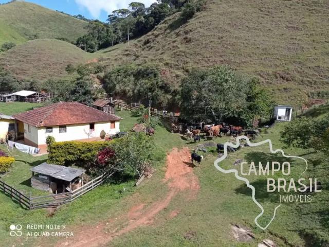 Fazenda venda em Região Geográfica Imediata de Juiz de Fora, Passa Vinte