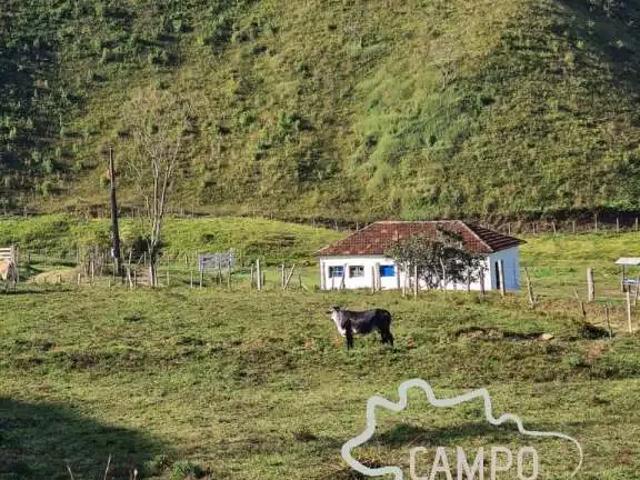 Fazenda venda em Região Geográfica Imediata de Juiz de Fora, Passa Vinte