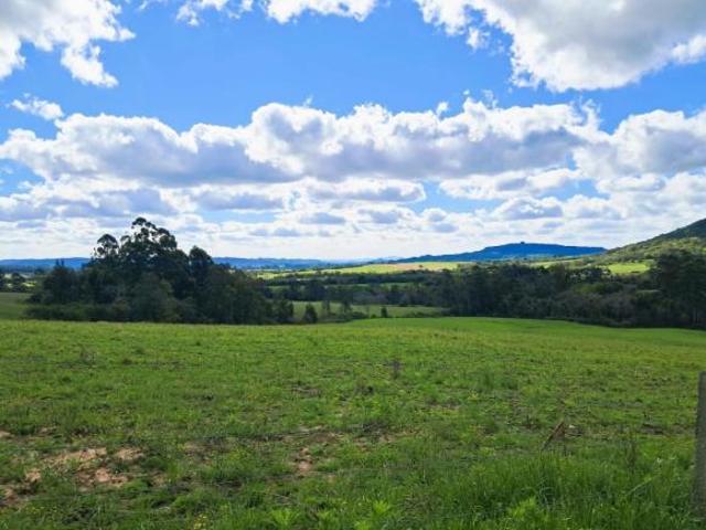 Sítio e chácara venda em Passo do Sobrado