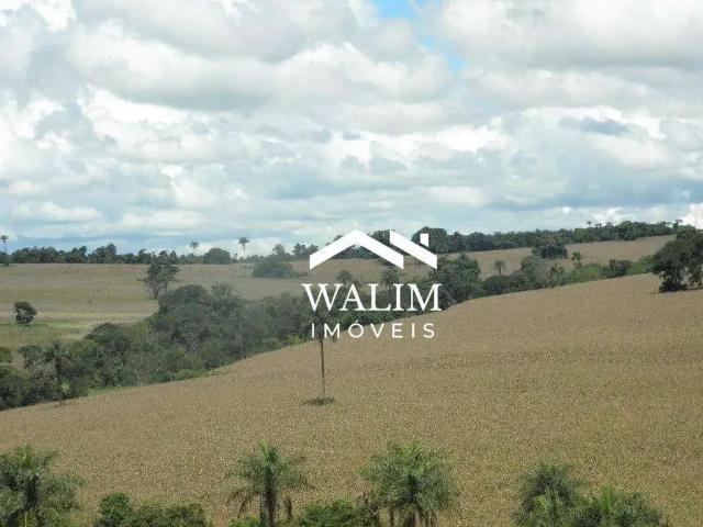 Fazenda venda em Região Geográfica Imediata de Passos, Passos