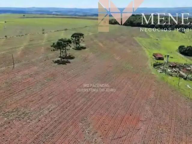 Fazenda venda em Região Geográfica Imediata de Passos, Passos