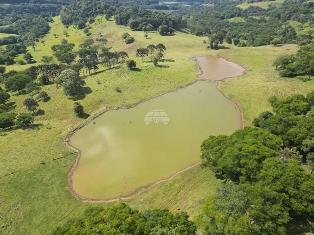 Fazenda venda em Região Geográfica Imediata de Pato Branco, Região Sul