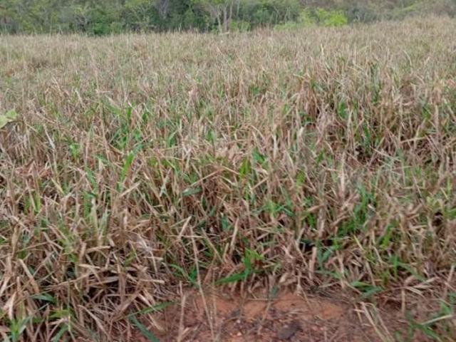 Sítio e chácara venda em Região Geográfica Imediata de Patos de Minas, Patos de Minas