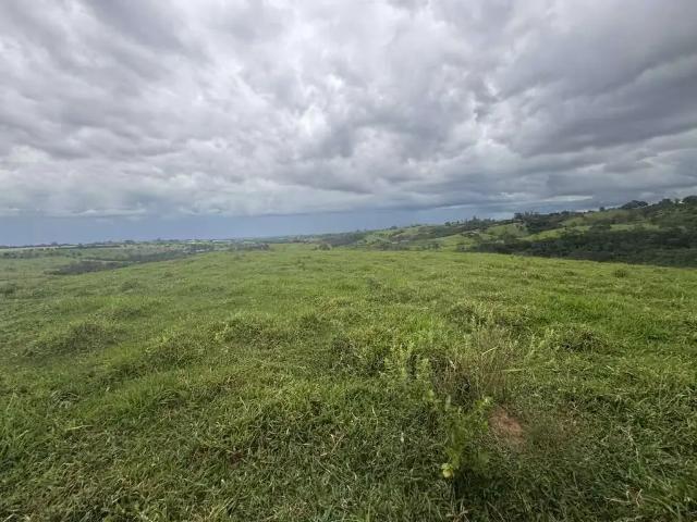 Fazenda venda em Região Geográfica Imediata de Patos de Minas, Patos de Minas