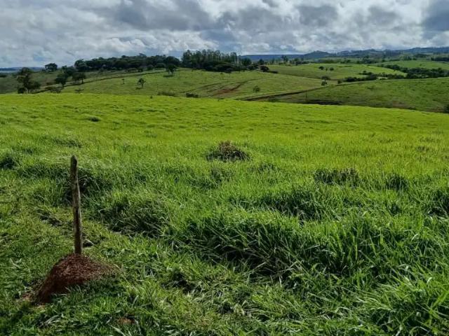 Fazenda venda em Região Geográfica Imediata de Patos de Minas, Patos de Minas