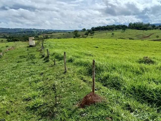 Fazenda venda em Região Geográfica Imediata de Patos de Minas, Patos de Minas