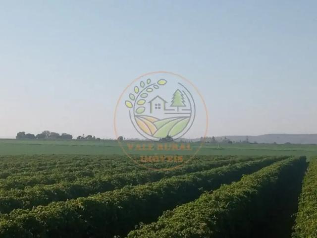 Fazenda venda em Região Geográfica Imediata de Patos de Minas, Patos de Minas