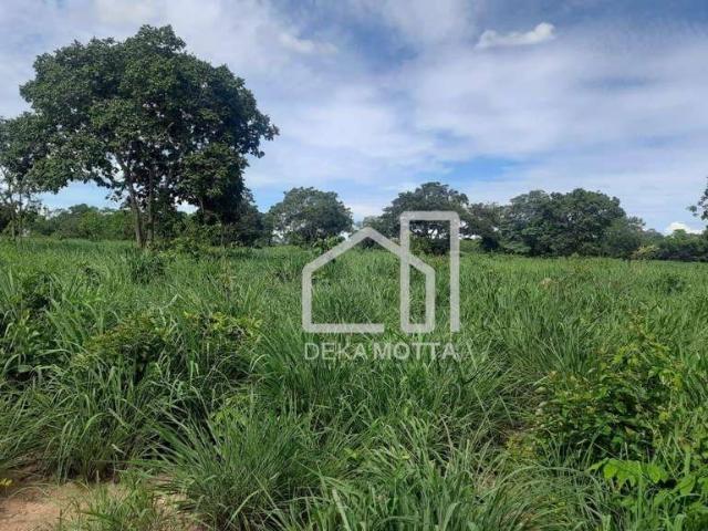 Fazenda venda em Região Geográfica Imediata de Patos de Minas, Patos de Minas