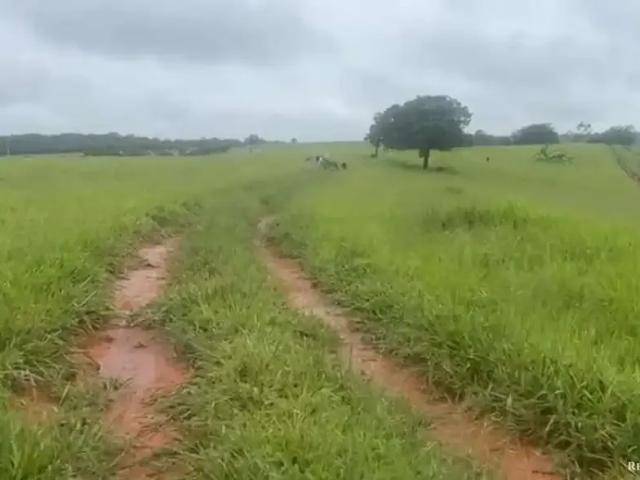 Fazenda venda em Região Geográfica Imediata de Patos de Minas, Patos de Minas