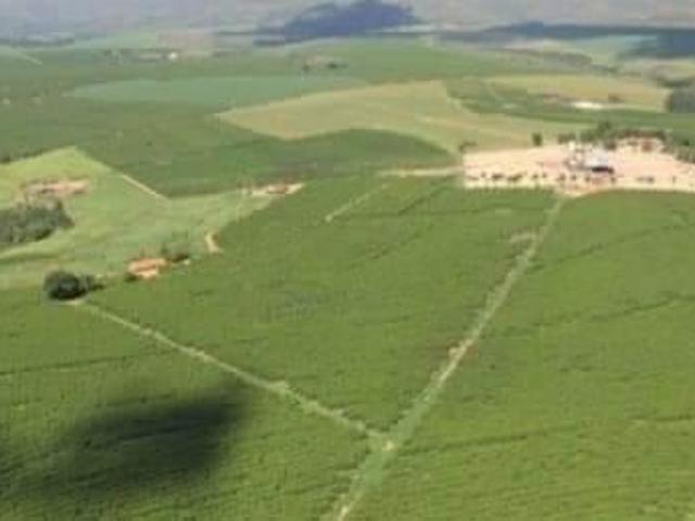 Sítio e chácara venda em Região Geográfica Imediata de Patrocínio, Patrocínio