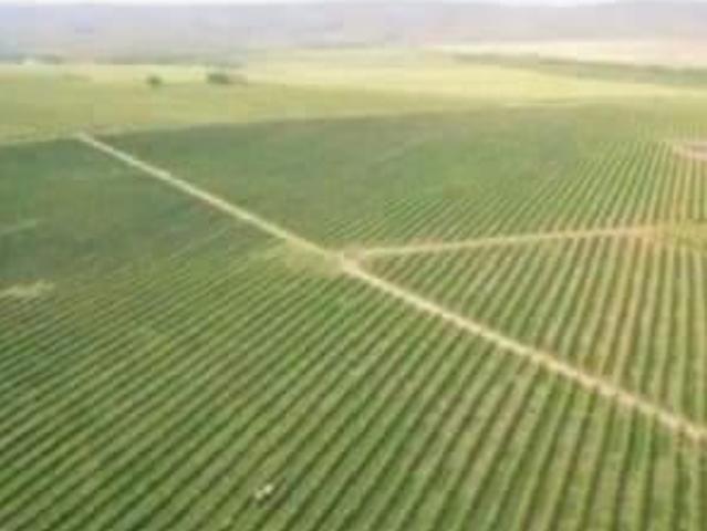 Sítio e chácara venda em Região Geográfica Imediata de Patrocínio, Patrocínio