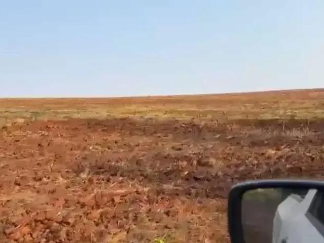 Fazenda venda em Região Geográfica Imediata de Patrocínio, Patrocínio