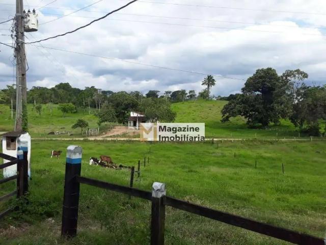 Fazenda venda em Pau Brasil