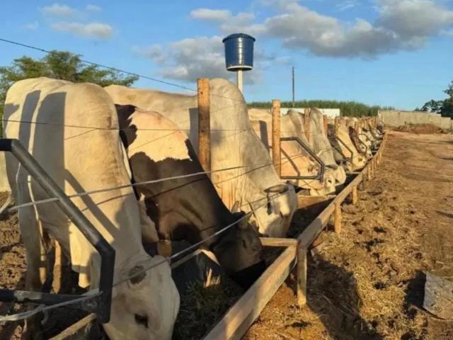 Fazenda venda em Paudalho