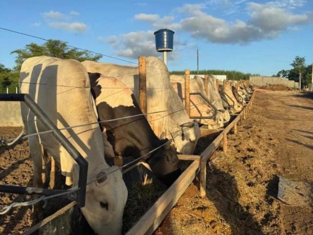 Fazenda venda em Região Geográfica Imediata do Recife, Paudalho