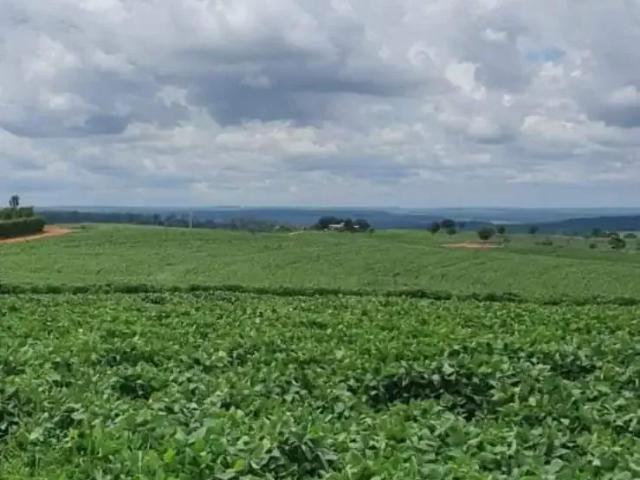 Fazenda venda em Região Imediata de Caraguatatuba-Ubatuba-São Sebastião, Região Metropolitana do Vale do Paraíba e Litoral Norte